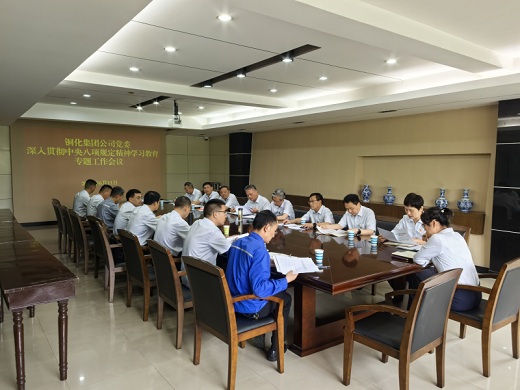 集團公司黨委召開專題工作會議對整治違規(guī)吃喝問題進行再強調再部署